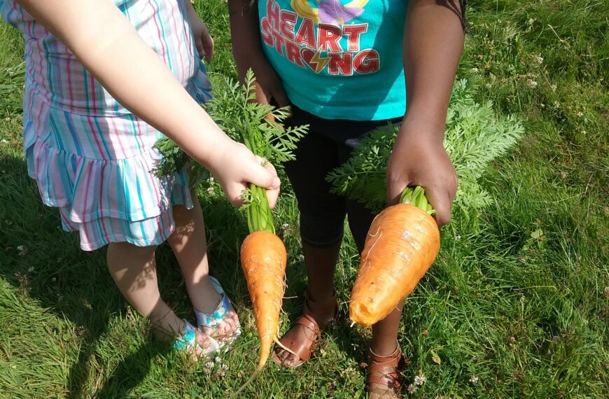 Growing our children through gardening education