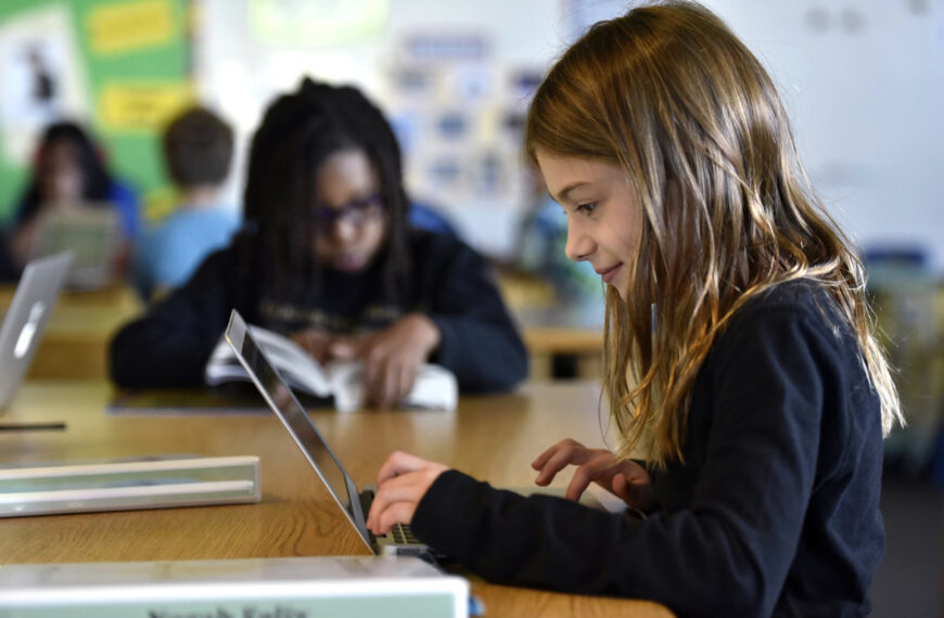 Program gives all students access to local library