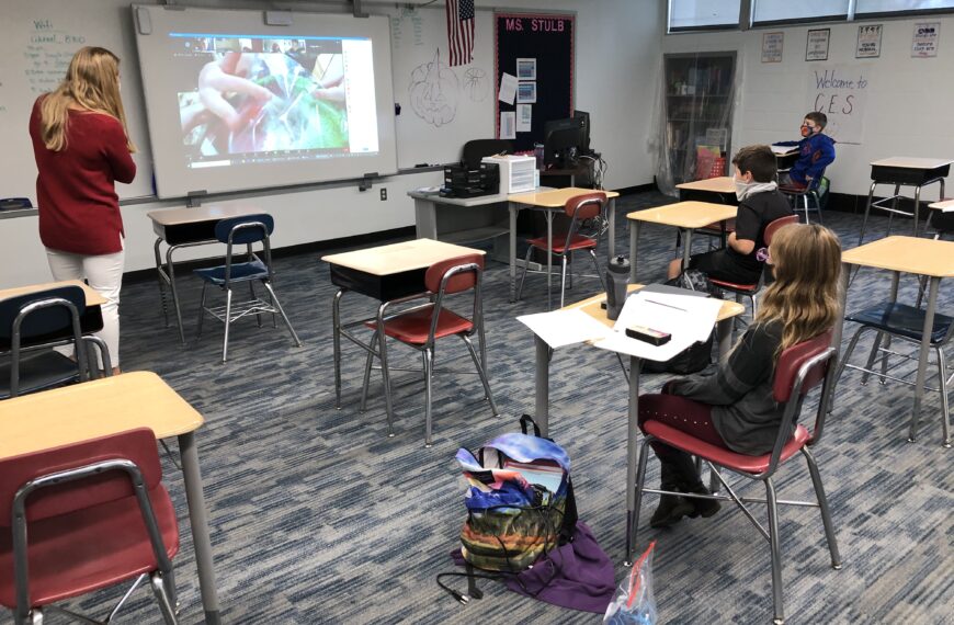 Fourth Graders Make Mold Terrariums