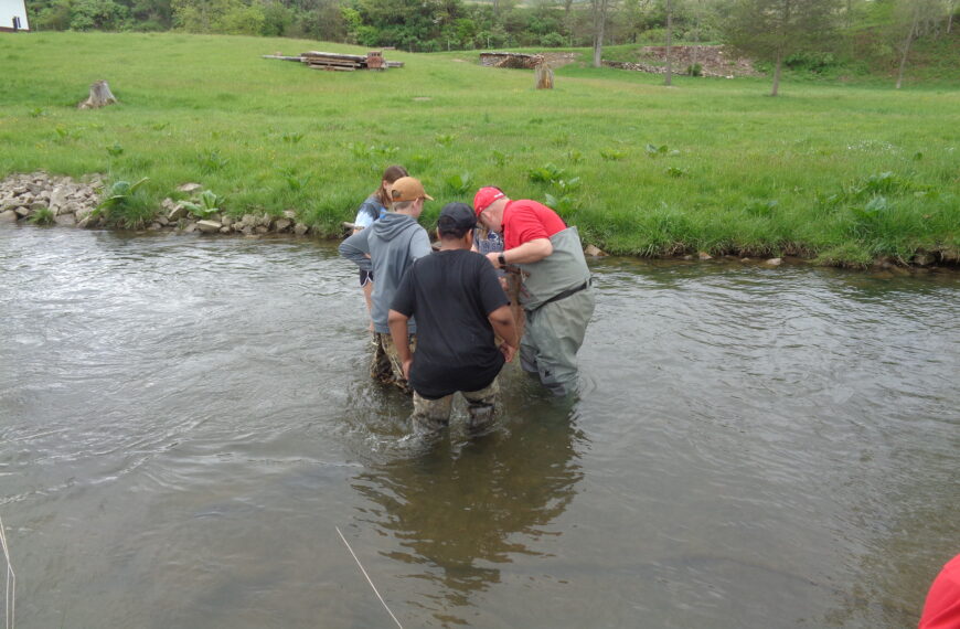 Trout released into Little Fishing Creek