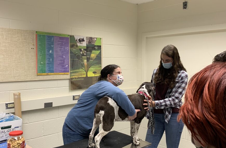 Oley Valley adds vet tech courses