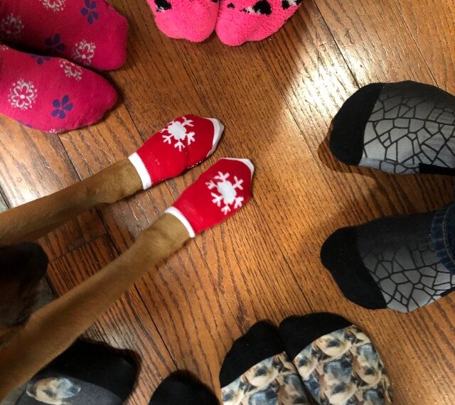 WJHSD celebrates “Rock Your Socks for World Down Syndrome Day” at home