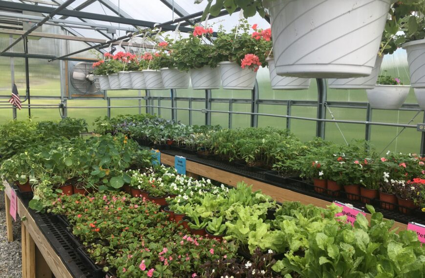 DuBois Area High School opens greenhouse