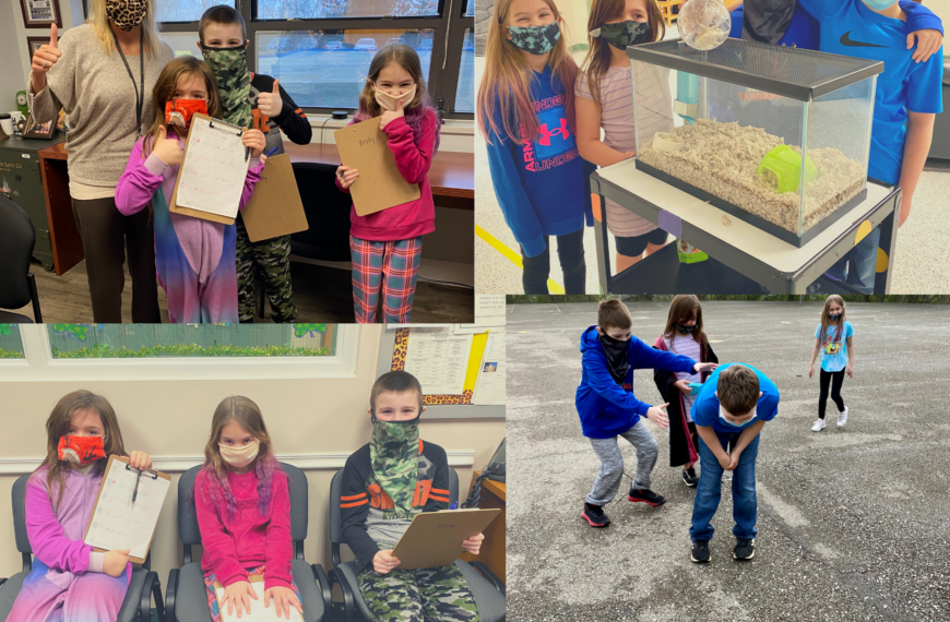 New classroom pet an opportunity for learning