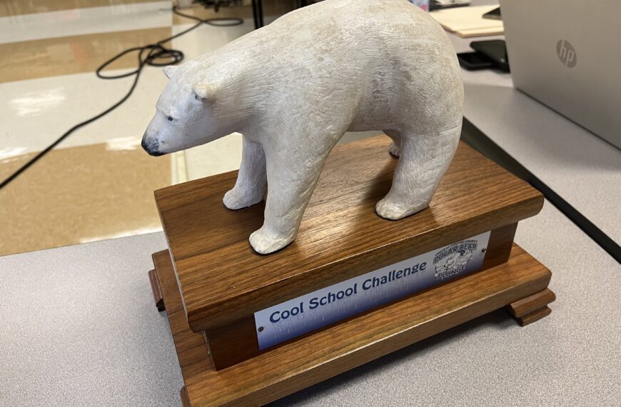 Polar Bear Plunge raises money for antihunger programs