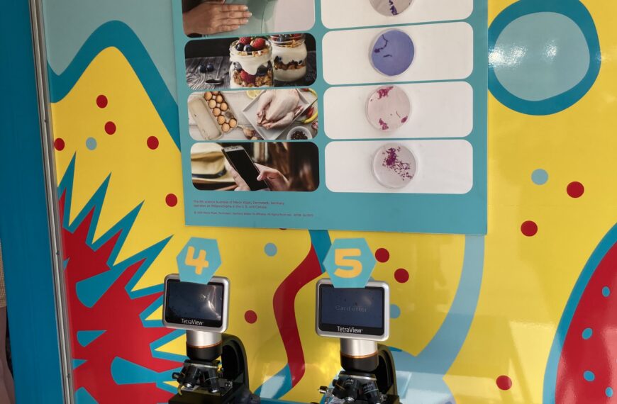 Curiosity Cube brings fun STEM lessons to Pleasant Gap students