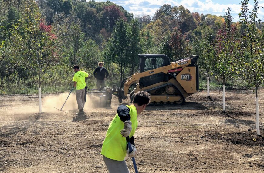 High School Builds Apple Orchard to Support Apiary Science Program