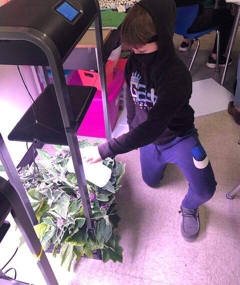 Elementary students learn with farm-to-table program