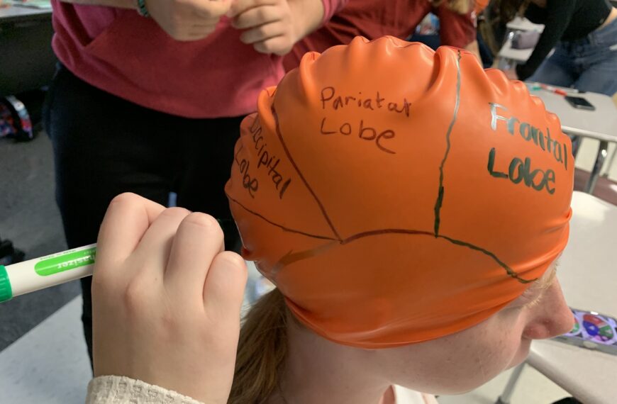 High school psych students learn about the brain in unique activity