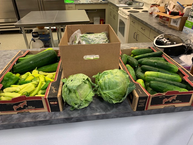 Oley Valley summer FFA program keeps students learning