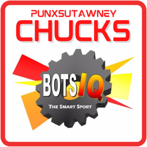 BotsIQ builds STEM skills for workforce success