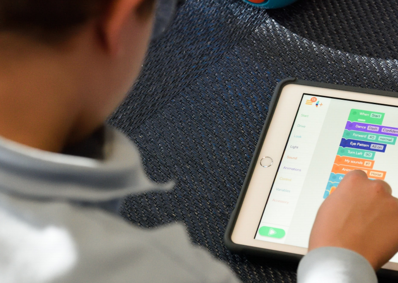 Supporting the Whole Child in Virtual Education