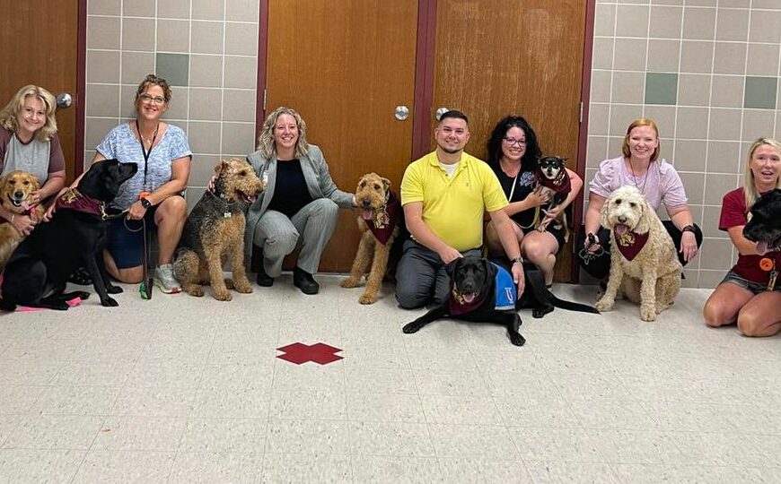 New therapy dogs greet students