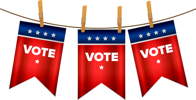 Teacher takes students to the polls, virtually