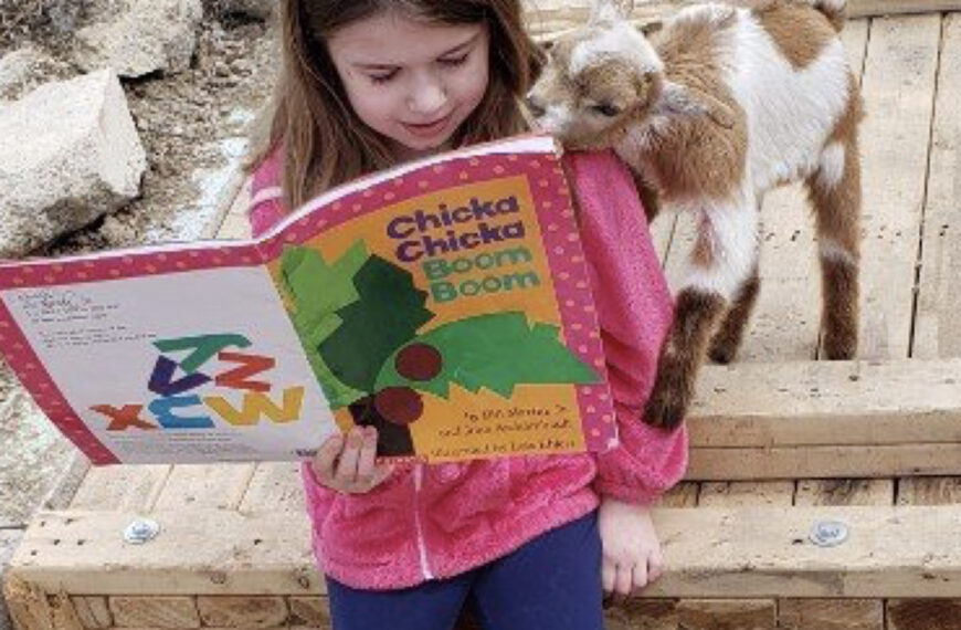 First grade teacher creates reading challenge during shutdown