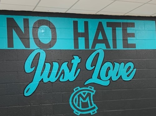 ‘No Place for Hate’ at Canon-McMillan High School