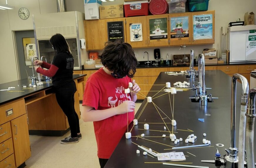 Summer tutoring remedies learning gaps